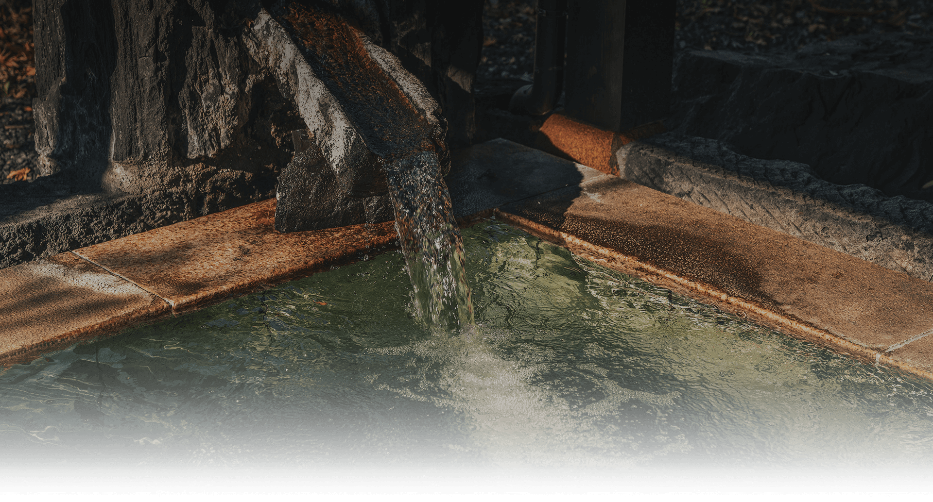 山木館:イメージ